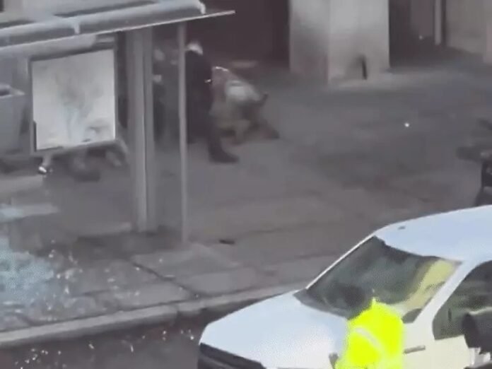 White house shooting