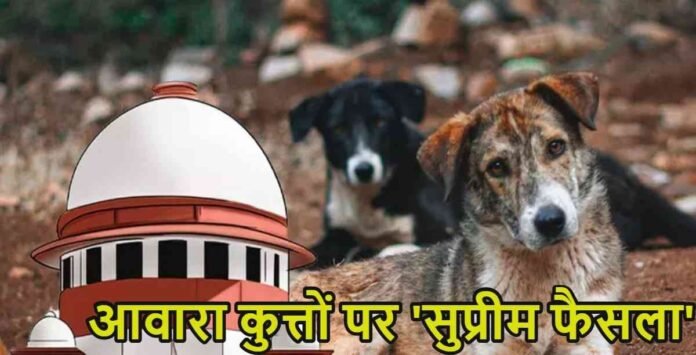 Supreme Court Verdict On Stray Dogs